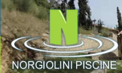 Norgiolini S.a.s.